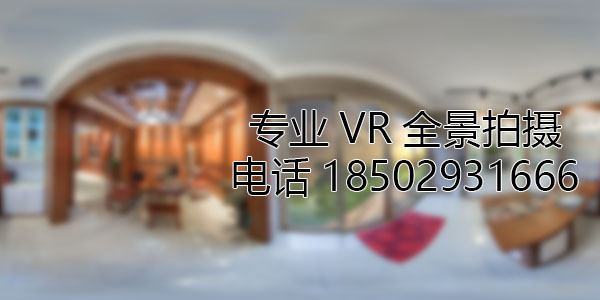 柯坪VR全景技术在未来可能的发展方向和应用领域?
